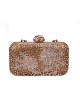 EVENING  BAG  WITH CHAIN